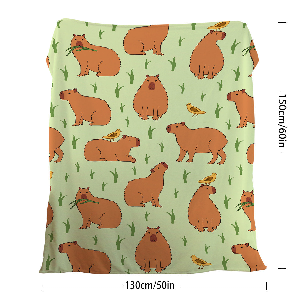 HKM-097939 Soft Flannel Multifunctional Blanket with Bird and Capybara Pattern for Home and Outdoors