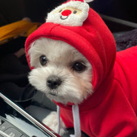 HKM-099667 Christmas Day Sweater for Pets - Festive Red & Green Options Available in Various Sizes