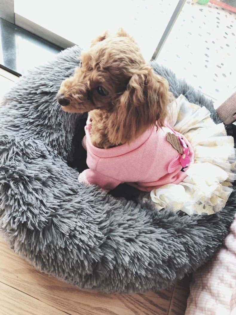 HKM-100883 Thick Plush Round Deep Sleep Cat Nest for Cozy Autumn and Winter Comfort