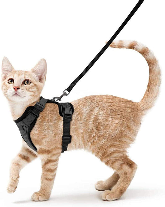 HKM-101907 Adjustable Anti-Breakaway Leash for Cats - Fashionable Nylon Harness Vest