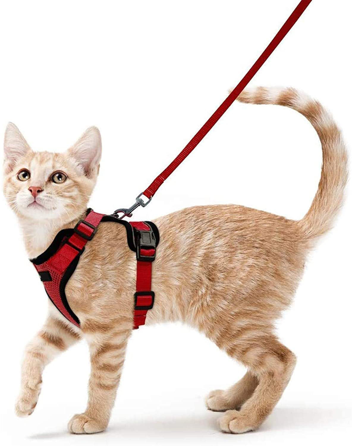 HKM-101907 Adjustable Anti-Breakaway Leash for Cats - Fashionable Nylon Harness Vest