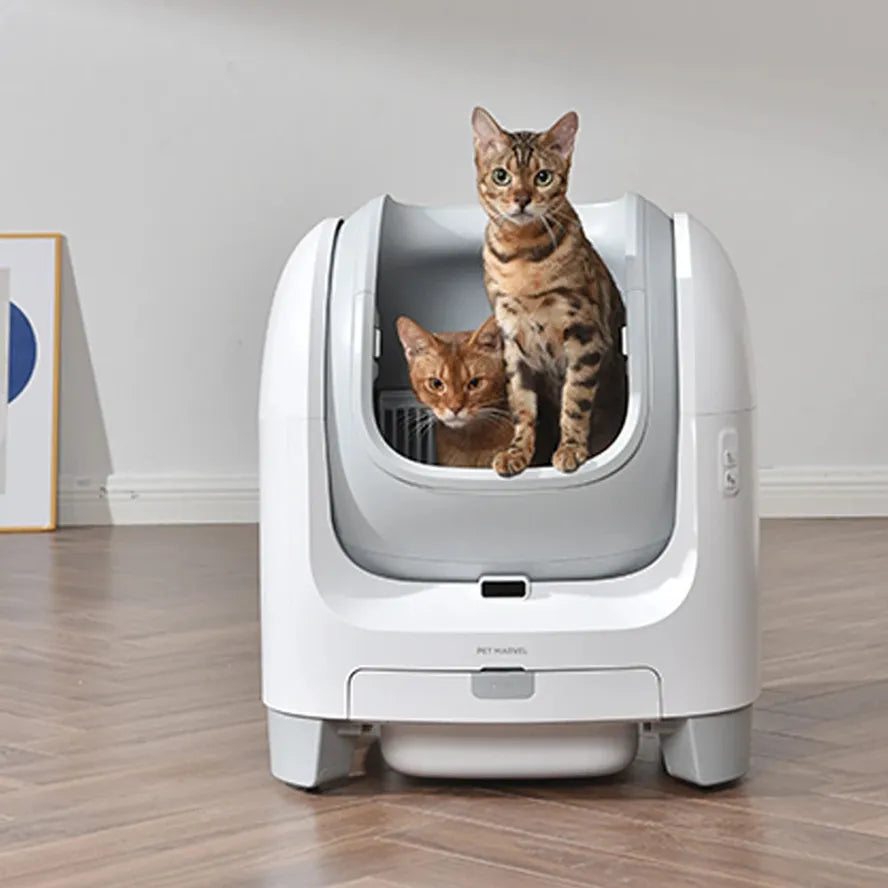 KTX-102163 Automatic Open-Top Self-Cleaning Cat Litter Box with APP Control and Weight Monitoring, Odor-Free Design for Cats Up to 10kg