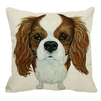 HKM-104531 Double-Sided 45x45cm Cushion Waist and Head Pillow with PP Cotton Filling