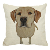 HKM-104531 Double-Sided 45x45cm Cushion Waist and Head Pillow with PP Cotton Filling