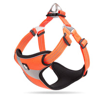 HKM-106195 Stylish Corgi Vest with Rope and Adjustable Chest Strap for Small Dogs