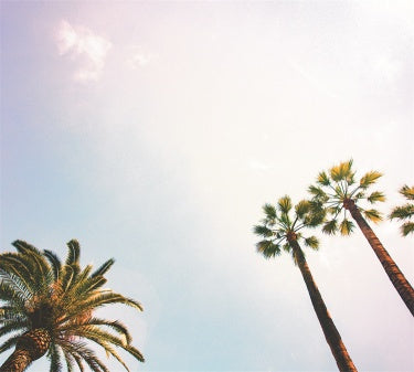 KTX-109011 Premium Wall Covering Fabric for Interior Design