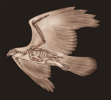 KTX-109011 Premium Wall Covering Fabric for Interior Design