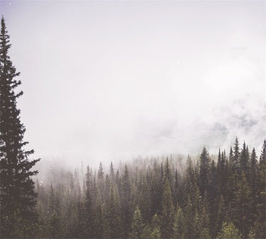 KTX-109011 Premium Wall Covering Fabric for Interior Design