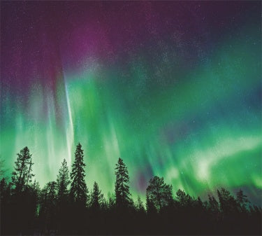 KTX-109011 Premium Wall Covering Fabric for Interior Design