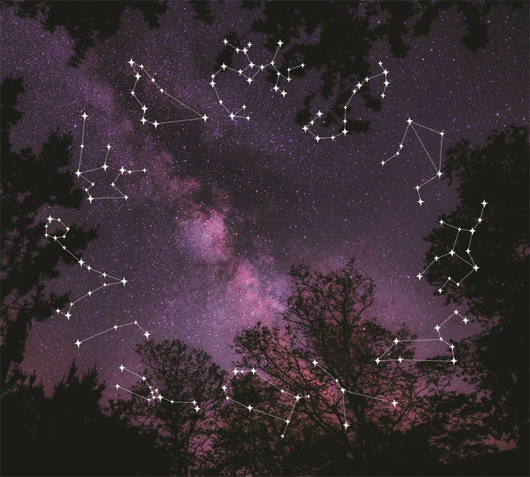 KTX-109011 Premium Wall Covering Fabric for Interior Design