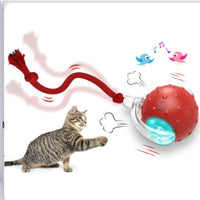 HKM-112211 Avocado Cat Mint Multifunctional Catnip Toy 360 Rotating Self-healing Artifact Pet Supplies