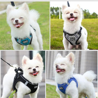 HKM-112595 Reflective Dog Leash and Chest Harness Set - Lightweight, Breathable, Comfortable Design for All Dog Sizes