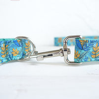 HKM-113619 Dog collar pull rope leash