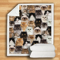 HKM-114067 Modern Printed Flannel Blanket for Pets - Multiple Sizes Available (120x150CM, 150x200CM)