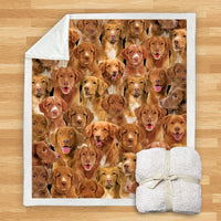 HKM-114067 Modern Printed Flannel Blanket for Pets - Multiple Sizes Available (120x150CM, 150x200CM)