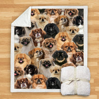 HKM-114067 Modern Printed Flannel Blanket for Pets - Multiple Sizes Available (120x150CM, 150x200CM)