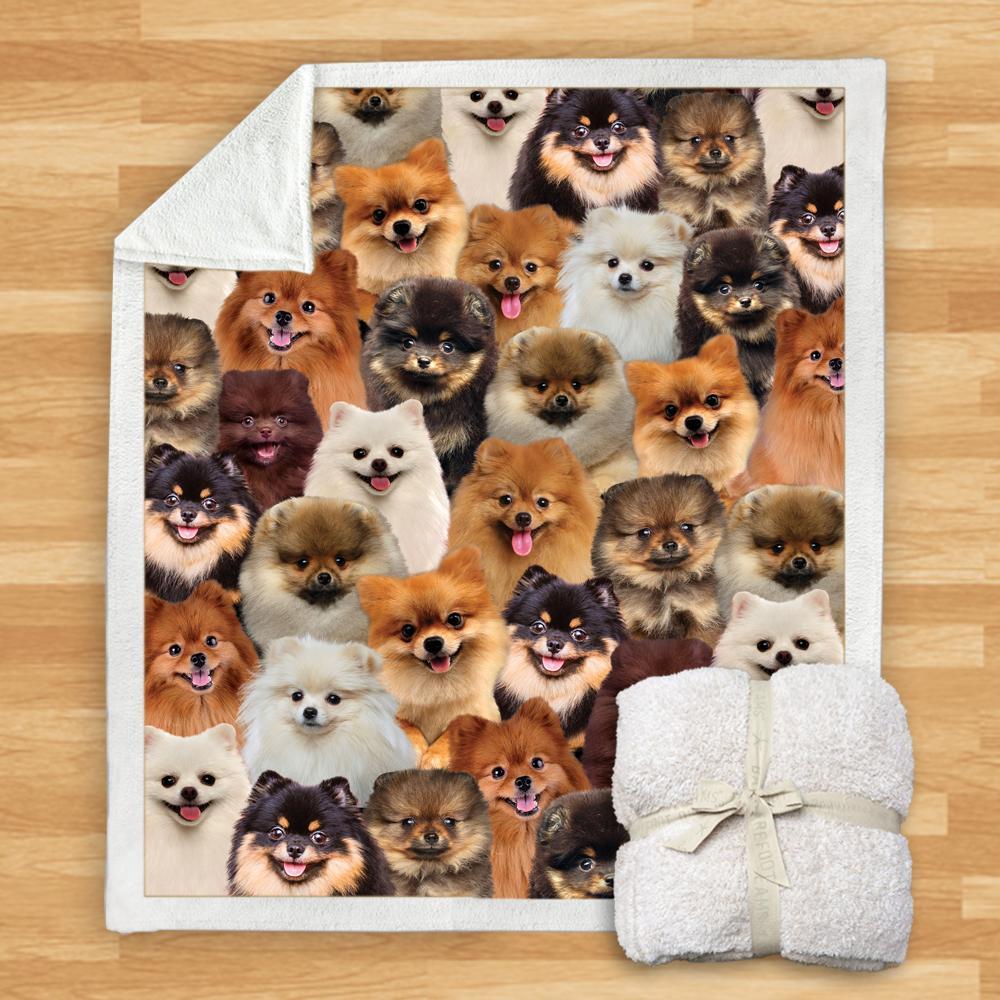 HKM-114067 Modern Printed Flannel Blanket for Pets - Multiple Sizes Available (120x150CM, 150x200CM)
