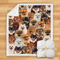 HKM-114067 Modern Printed Flannel Blanket for Pets - Multiple Sizes Available (120x150CM, 150x200CM)
