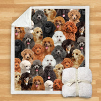 HKM-114067 Modern Printed Flannel Blanket for Pets - Multiple Sizes Available (120x150CM, 150x200CM)