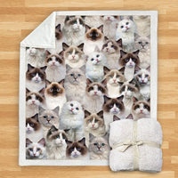 HKM-114067 Modern Printed Flannel Blanket for Pets - Multiple Sizes Available (120x150CM, 150x200CM)