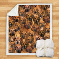 HKM-114067 Modern Printed Flannel Blanket for Pets - Multiple Sizes Available (120x150CM, 150x200CM)