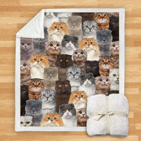 HKM-114067 Modern Printed Flannel Blanket for Pets - Multiple Sizes Available (120x150CM, 150x200CM)