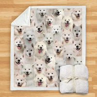 HKM-114067 Modern Printed Flannel Blanket for Pets - Multiple Sizes Available (120x150CM, 150x200CM)