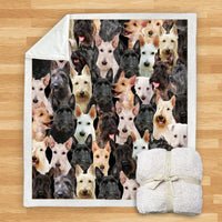 HKM-114067 Modern Printed Flannel Blanket for Pets - Multiple Sizes Available (120x150CM, 150x200CM)