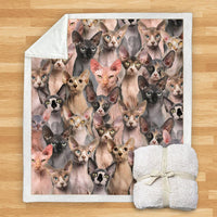 HKM-114067 Modern Printed Flannel Blanket for Pets - Multiple Sizes Available (120x150CM, 150x200CM)
