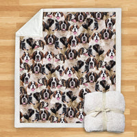 HKM-114067 Modern Printed Flannel Blanket for Pets - Multiple Sizes Available (120x150CM, 150x200CM)