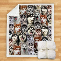 HKM-114067 Modern Printed Flannel Blanket for Pets - Multiple Sizes Available (120x150CM, 150x200CM)