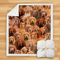 HKM-114067 Modern Printed Flannel Blanket for Pets - Multiple Sizes Available (120x150CM, 150x200CM)
