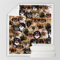 HKM-114067 Modern Printed Flannel Blanket for Pets - Multiple Sizes Available (120x150CM, 150x200CM)