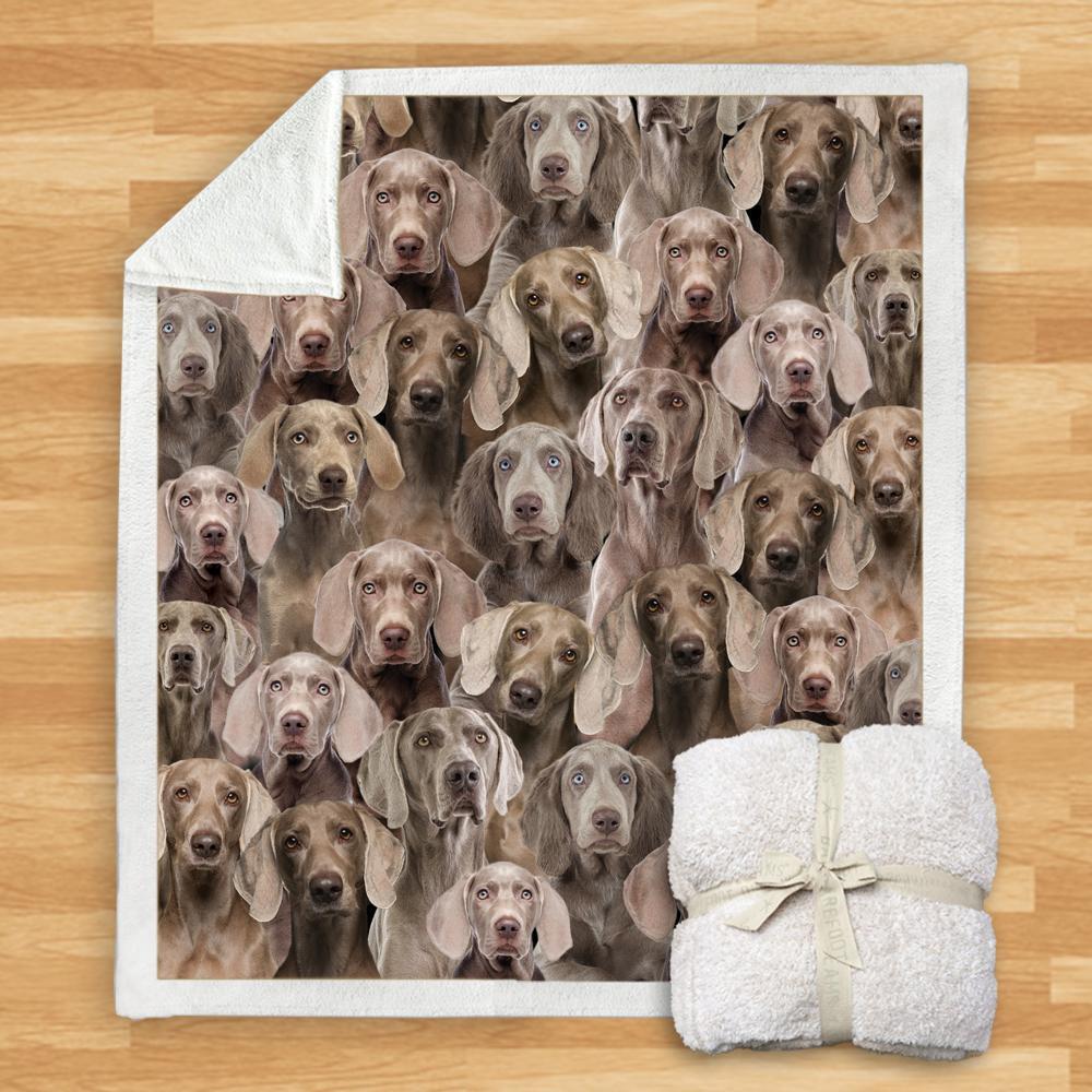 HKM-114067 Modern Printed Flannel Blanket for Pets - Multiple Sizes Available (120x150CM, 150x200CM)