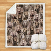 HKM-114067 Modern Printed Flannel Blanket for Pets - Multiple Sizes Available (120x150CM, 150x200CM)