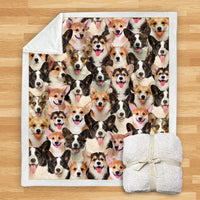 HKM-114067 Modern Printed Flannel Blanket for Pets - Multiple Sizes Available (120x150CM, 150x200CM)