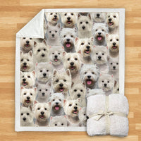 HKM-114067 Modern Printed Flannel Blanket for Pets - Multiple Sizes Available (120x150CM, 150x200CM)