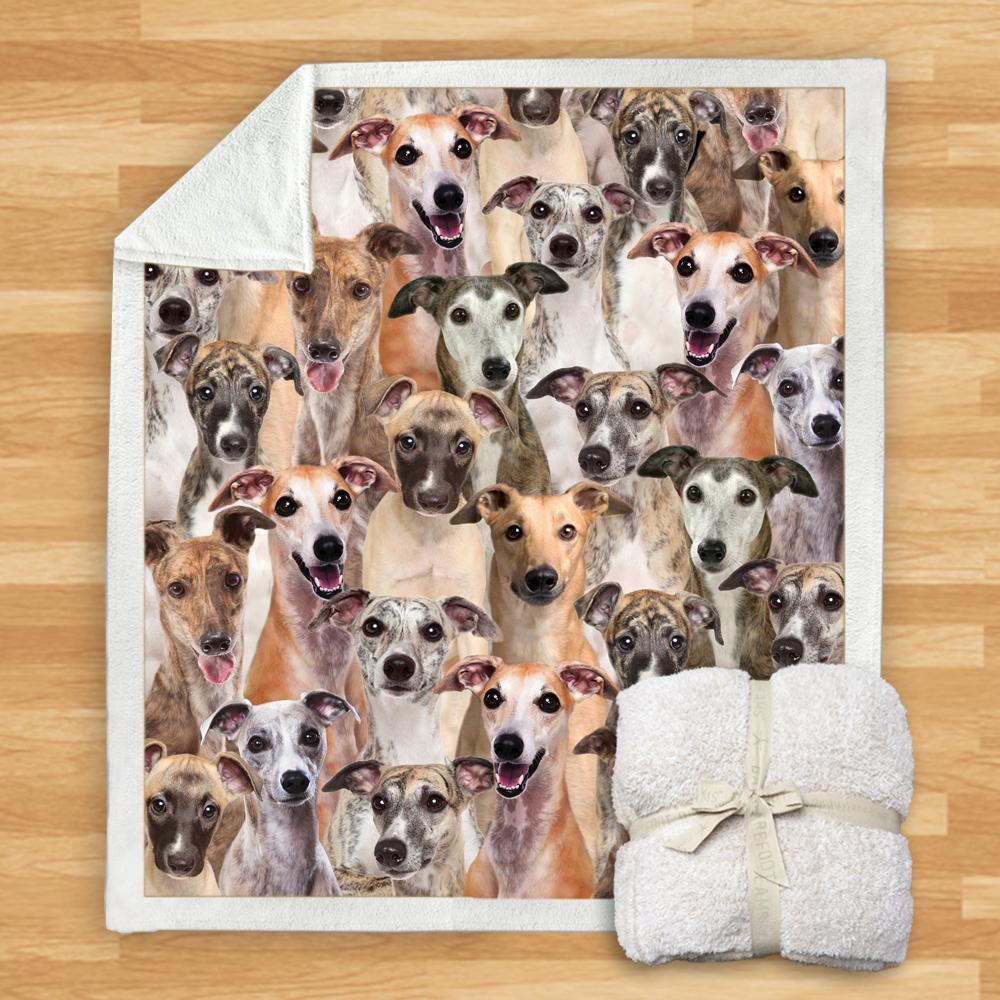 HKM-114067 Modern Printed Flannel Blanket for Pets - Multiple Sizes Available (120x150CM, 150x200CM)