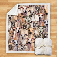 HKM-114067 Modern Printed Flannel Blanket for Pets - Multiple Sizes Available (120x150CM, 150x200CM)