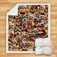 HKM-114067 Modern Printed Flannel Blanket for Pets - Multiple Sizes Available (120x150CM, 150x200CM)