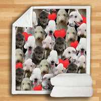 HKM-114067 Modern Printed Flannel Blanket for Pets - Multiple Sizes Available (120x150CM, 150x200CM)