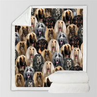 HKM-114067 Modern Printed Flannel Blanket for Pets - Multiple Sizes Available (120x150CM, 150x200CM)