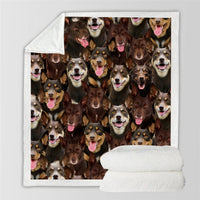 HKM-114067 Modern Printed Flannel Blanket for Pets - Multiple Sizes Available (120x150CM, 150x200CM)