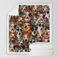 HKM-114067 Modern Printed Flannel Blanket for Pets - Multiple Sizes Available (120x150CM, 150x200CM)
