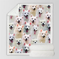 HKM-114067 Modern Printed Flannel Blanket for Pets - Multiple Sizes Available (120x150CM, 150x200CM)