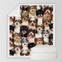 HKM-114067 Modern Printed Flannel Blanket for Pets - Multiple Sizes Available (120x150CM, 150x200CM)