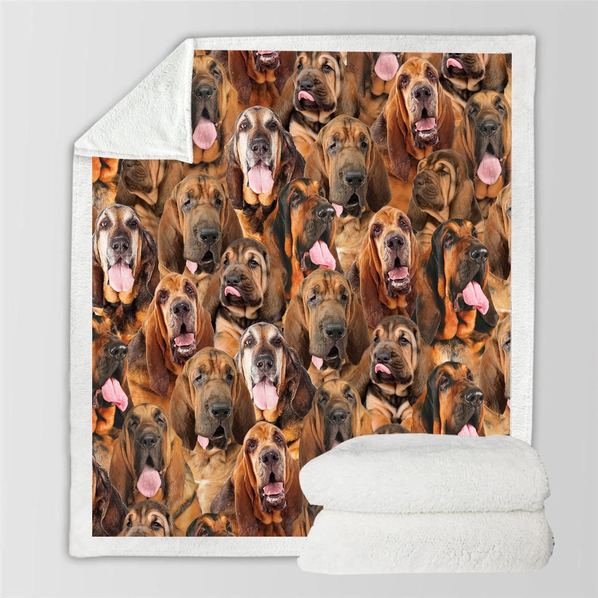 HKM-114067 Modern Printed Flannel Blanket for Pets - Multiple Sizes Available (120x150CM, 150x200CM)