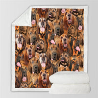 HKM-114067 Modern Printed Flannel Blanket for Pets - Multiple Sizes Available (120x150CM, 150x200CM)