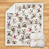 HKM-114067 Modern Printed Flannel Blanket for Pets - Multiple Sizes Available (120x150CM, 150x200CM)