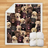 HKM-114067 Modern Printed Flannel Blanket for Pets - Multiple Sizes Available (120x150CM, 150x200CM)